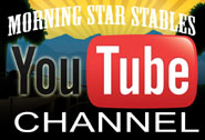 morning star stables You Tube channel